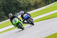 PJ-Motorsport-Photography-2020;anglesey;brands-hatch;cadwell-park;croft;donington-park;enduro-digital-images;event-digital-images;eventdigitalimages;mallory;no-limits;oulton-park;peter-wileman-photography;racing-digital-images;silverstone;snetterton;trackday-digital-images;trackday-photos;vmcc-banbury-run;welsh-2-day-enduro